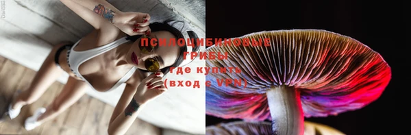 экстази Богданович