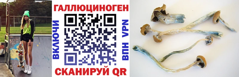 Галлюциногенные грибы GOLDEN TEACHER  даркнет сайт  гидра как зайти  Мценск 